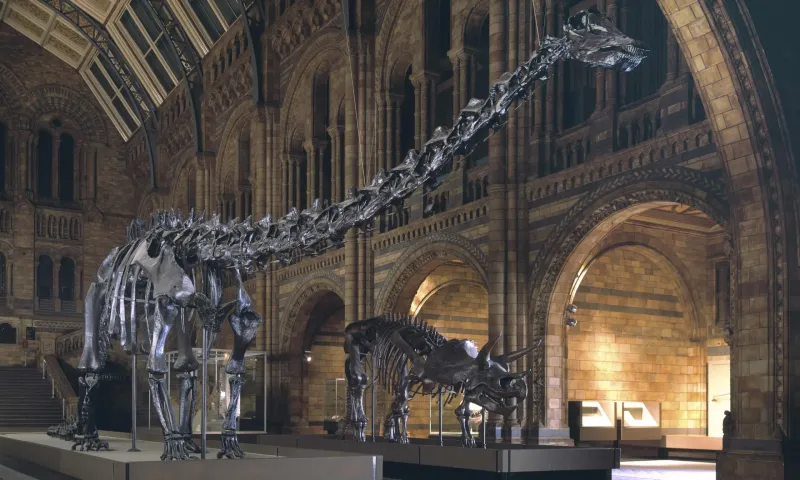Natural History Museum grand entrance hall in South Kensington