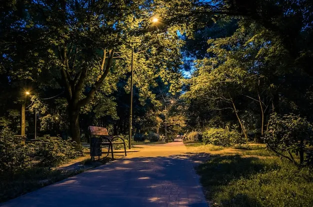 Summer evening in a London city park with wooden benches